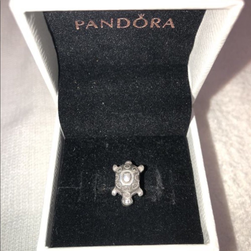 Pandora Turtle Charm
